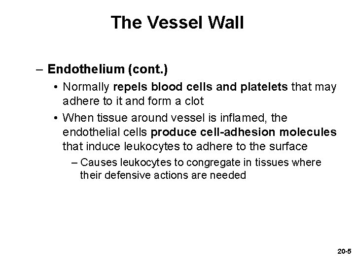 The Vessel Wall – Endothelium (cont. ) • Normally repels blood cells and platelets The Vessel Wall – Endothelium (cont. ) • Normally repels blood cells and platelets