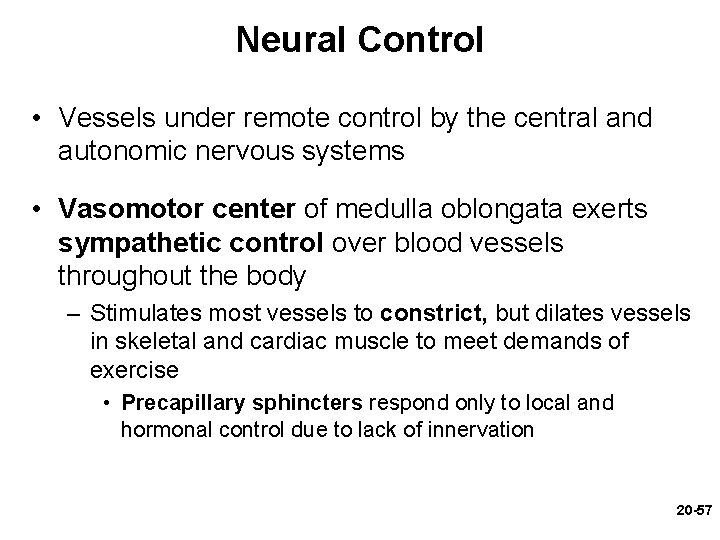 Neural Control • Vessels under remote control by the central and autonomic nervous systems Neural Control • Vessels under remote control by the central and autonomic nervous systems