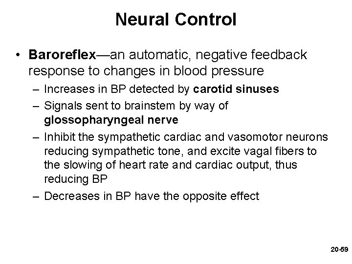Neural Control • Baroreflex—an automatic, negative feedback response to changes in blood pressure – Neural Control • Baroreflex—an automatic, negative feedback response to changes in blood pressure –