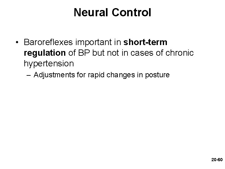 Neural Control • Baroreflexes important in short-term regulation of BP but not in cases Neural Control • Baroreflexes important in short-term regulation of BP but not in cases