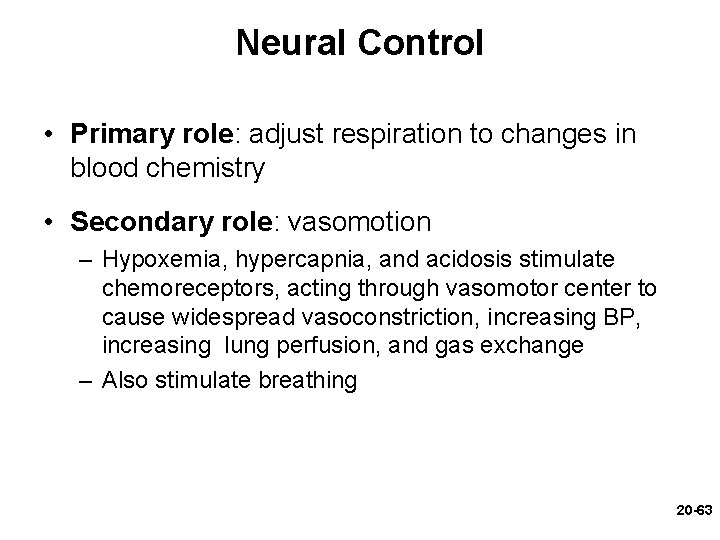 Neural Control • Primary role: adjust respiration to changes in blood chemistry • Secondary Neural Control • Primary role: adjust respiration to changes in blood chemistry • Secondary