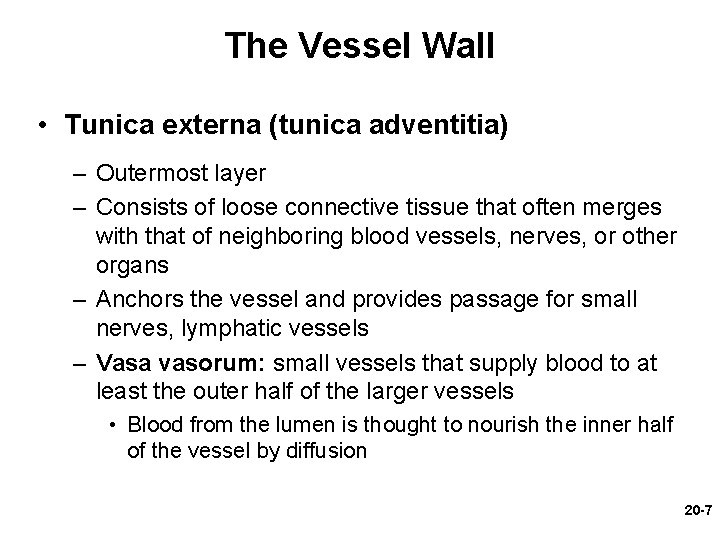 The Vessel Wall • Tunica externa (tunica adventitia) – Outermost layer – Consists of The Vessel Wall • Tunica externa (tunica adventitia) – Outermost layer – Consists of