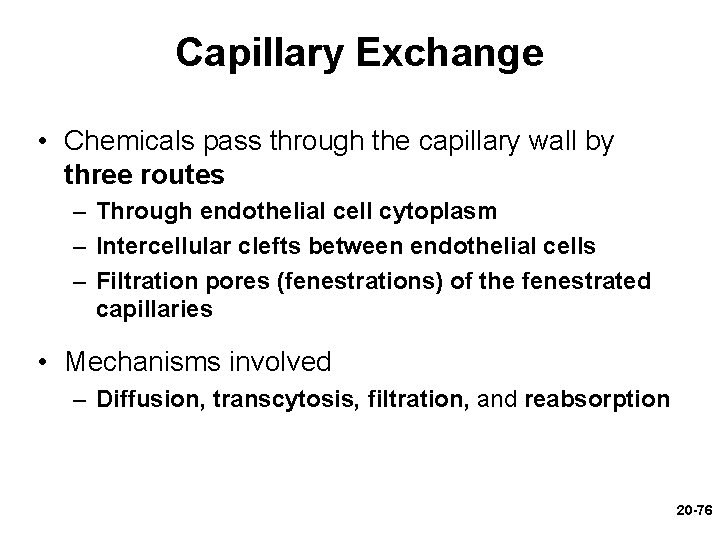 Capillary Exchange • Chemicals pass through the capillary wall by three routes – Through Capillary Exchange • Chemicals pass through the capillary wall by three routes – Through