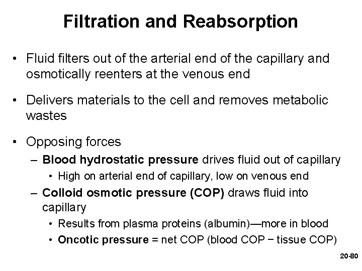 Filtration and Reabsorption • Fluid filters out of the arterial end of the capillary Filtration and Reabsorption • Fluid filters out of the arterial end of the capillary