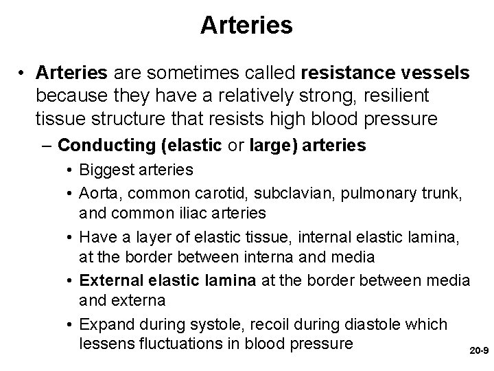 Arteries • Arteries are sometimes called resistance vessels because they have a relatively strong, Arteries • Arteries are sometimes called resistance vessels because they have a relatively strong,