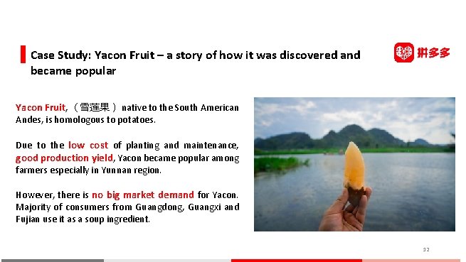 Case Study: Yacon Fruit – a story of how it was discovered and became