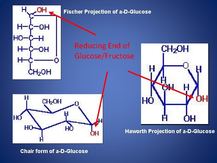 Fischer Projection of a-D-Glucose Reducing End of Glucose/Fructose Haworth Projection of a-D-Glucose Chair form