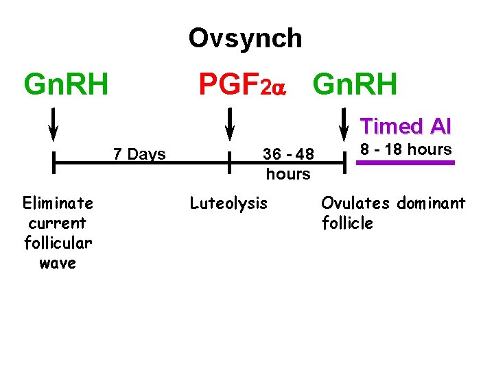 Ovsynch Gn. RH PGF 2 Gn. RH Timed AI 7 Days Eliminate current follicular Ovsynch Gn. RH PGF 2 Gn. RH Timed AI 7 Days Eliminate current follicular