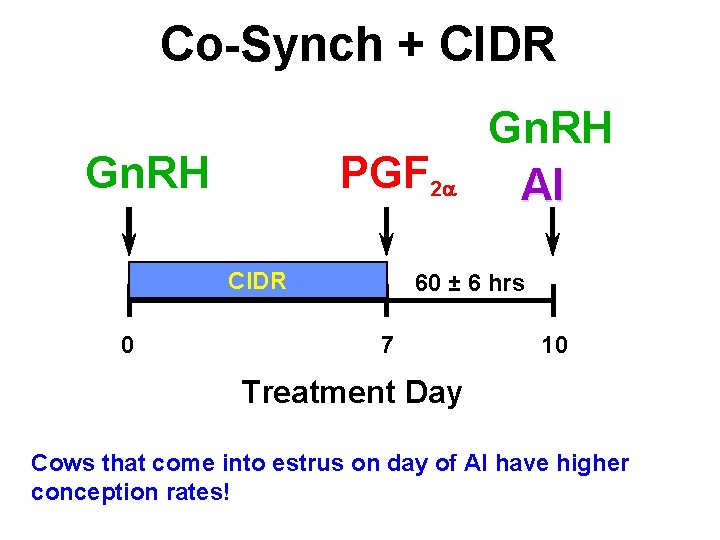 Co-Synch + CIDR Gn. RH PGF 2 CIDR 0 Gn. RH AI 60 ± Co-Synch + CIDR Gn. RH PGF 2 CIDR 0 Gn. RH AI 60 ±