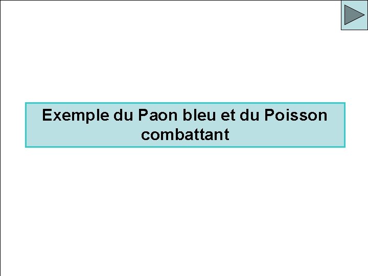 Exemple du Paon bleu et du Poisson combattant 