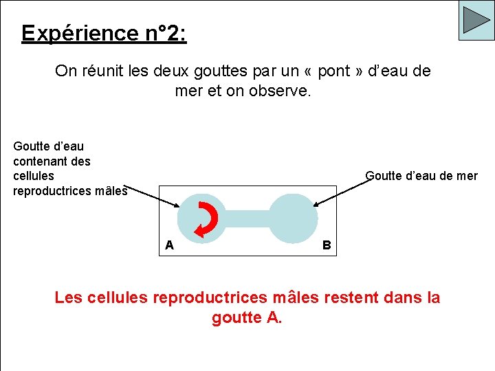 Expérience n° 2: On réalise la même expérience mais en remplaçant la On réunit