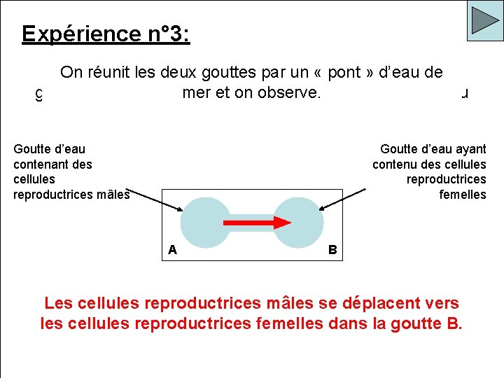 Expérience n° 3: On réalise la même expérience mais en remplaçant la On réunit