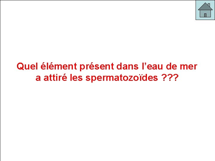 Quel élément présent dans l’eau de mer a attiré les spermatozoïdes ? ? ?