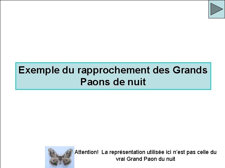 Exemple du rapprochement des Grands Paons de nuit Attention! La représentation utilisée ici n’est