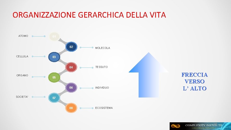 ORGANIZZAZIONE GERARCHICA DELLA VITA ATOMO CELLULA ORGANO SOCIETA’ 01 02 MOLECOLA 04 TESSUTO 03