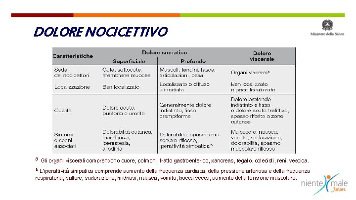DOLORE NOCICETTIVO a Gli organi viscerali comprendono cuore, polmoni, tratto gastroenterico, pancreas, fegato, colecisti,