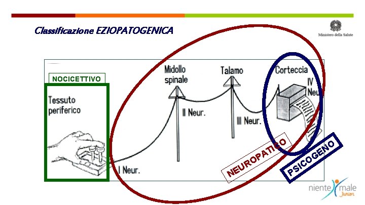 Classificazione EZIOPATOGENICA NOCICETTIVO O C I T N R U E A P O