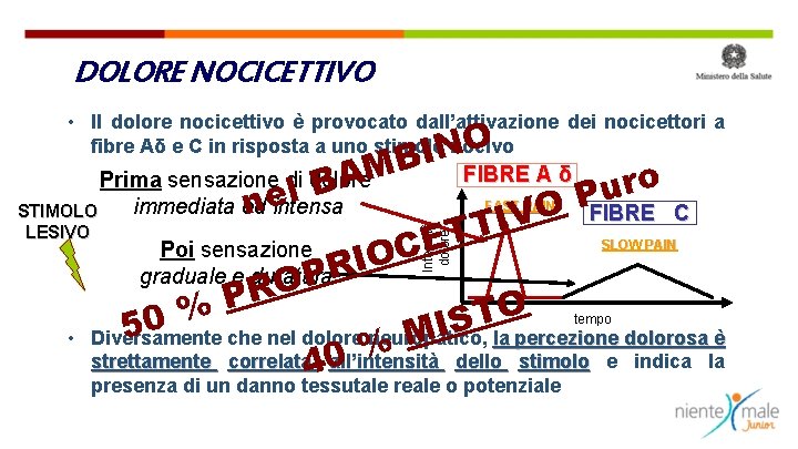 DOLORE NOCICETTIVO • Il dolore nocicettivo è provocato dall’attivazione dei nocicettori a fibre Aδ