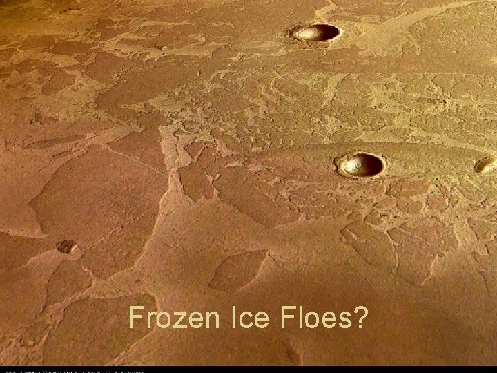 Frozen Ice Floes? 