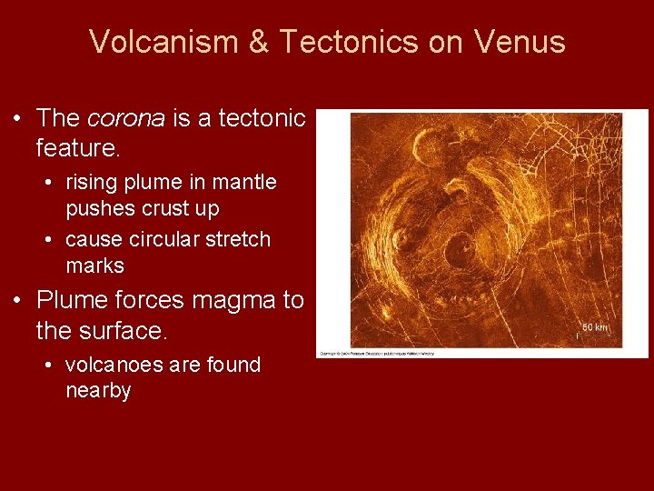 Volcanism & Tectonics on Venus • The corona is a tectonic feature. • rising