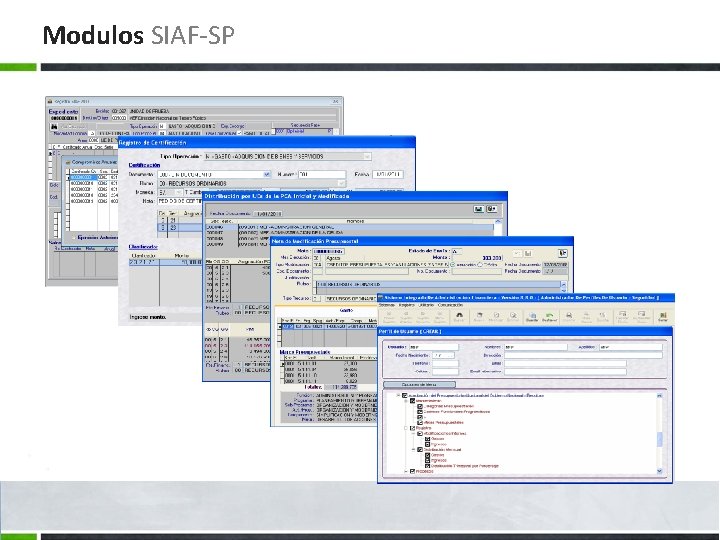 Modulos SIAF-SP 