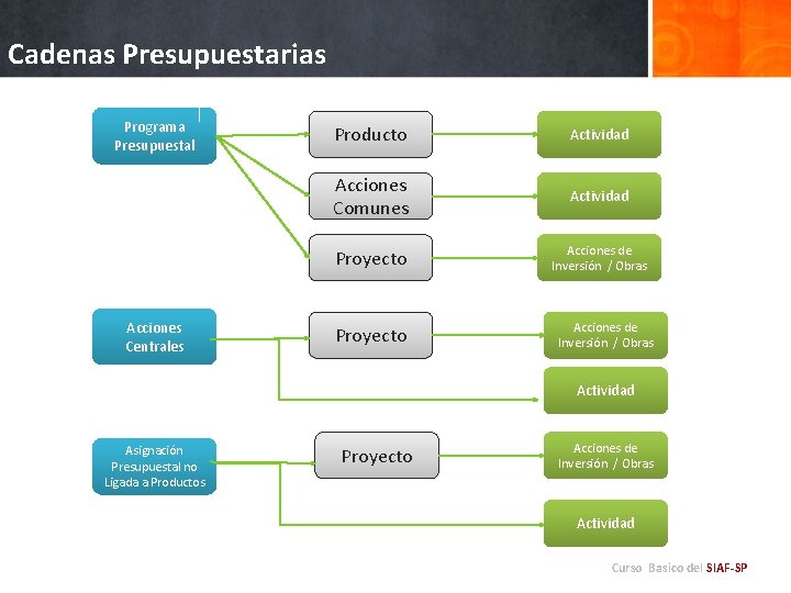 Cadenas Presupuestarias Programa Presupuestal Acciones Centrales Producto Actividad Acciones Comunes Actividad Proyecto Acciones de