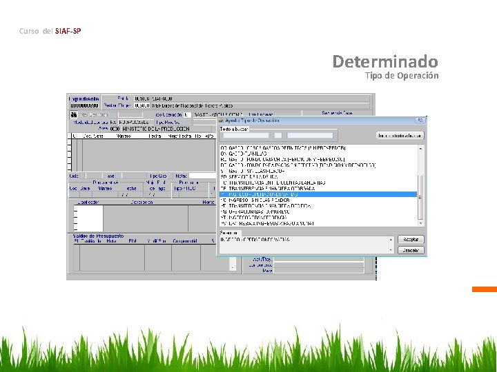 Curso del SIAF-SP Determinado Tipo de Operación 