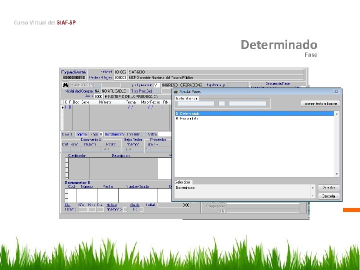 Curso Virtual del SIAF-SP Determinado Fase 