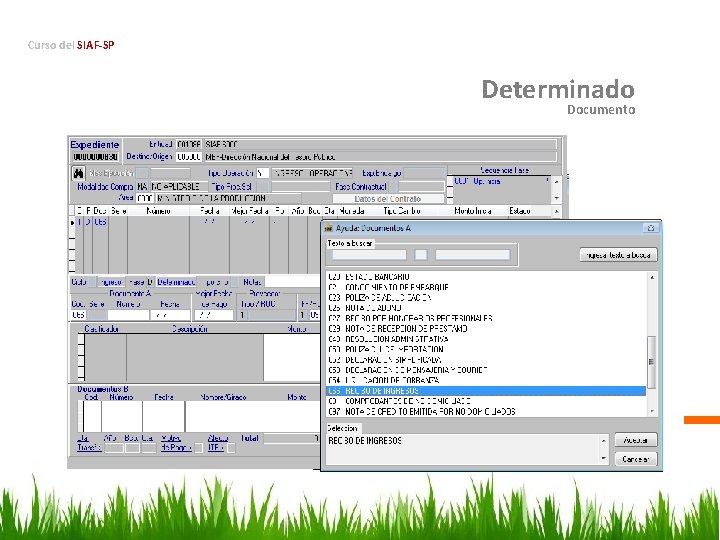 Curso del SIAF-SP Determinado Documento 