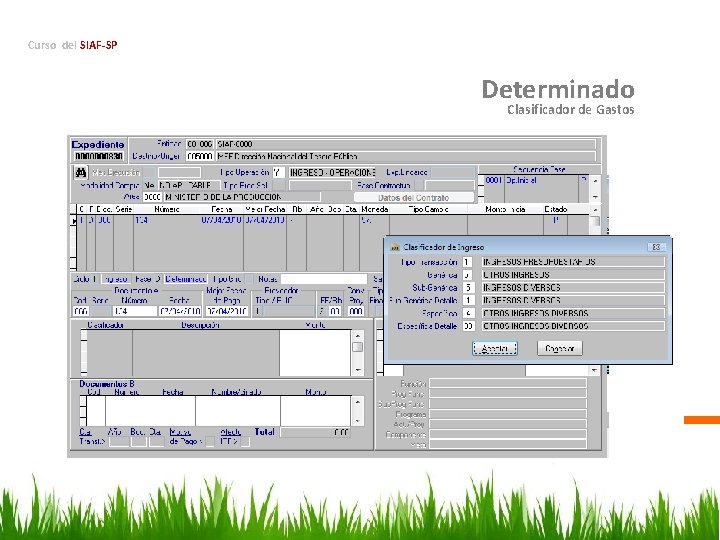 Curso del SIAF-SP Determinado Clasificador de Gastos 