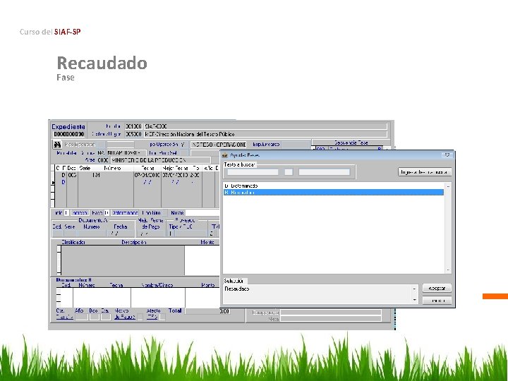 Curso del SIAF-SP Recaudado Fase 