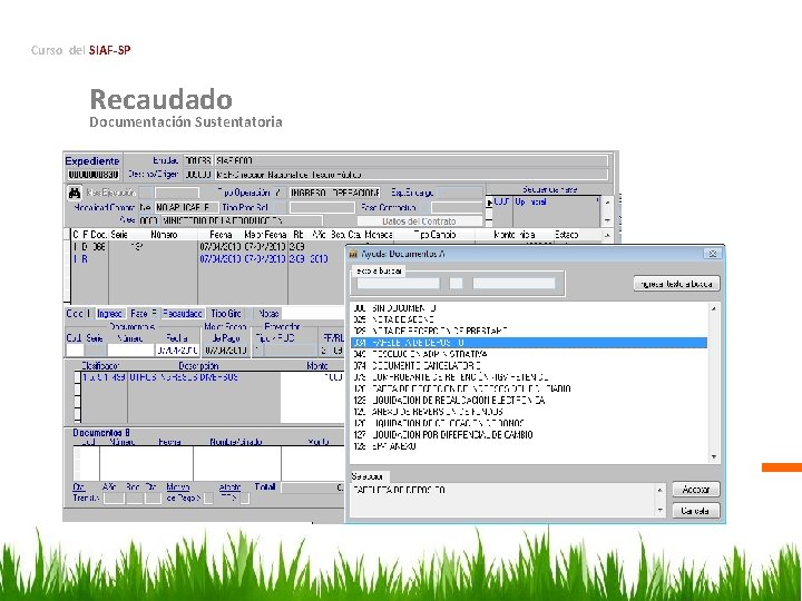 Curso del SIAF-SP Recaudado Documentación Sustentatoria 