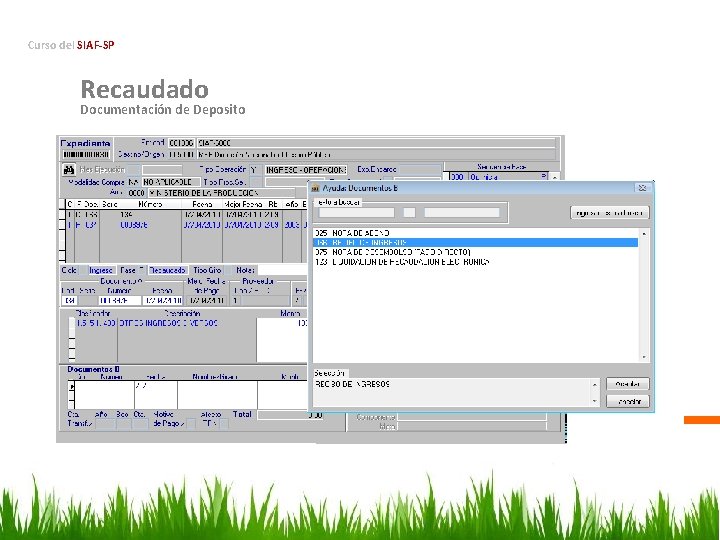 Curso del SIAF-SP Recaudado Documentación de Deposito 