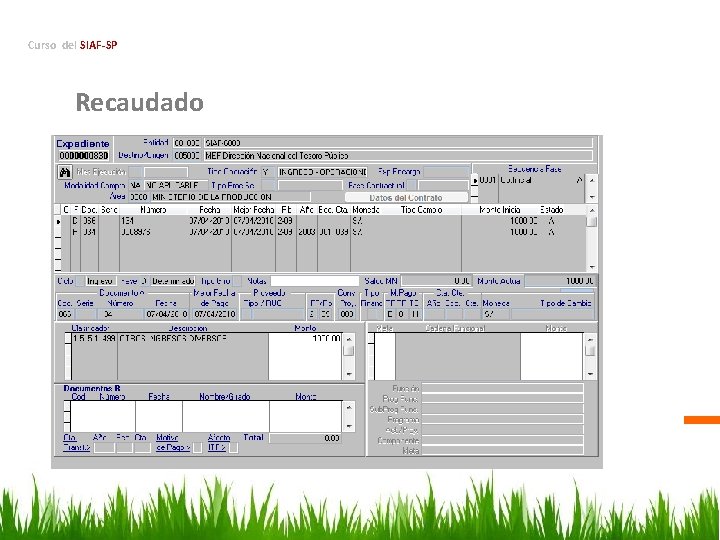Curso del SIAF-SP Recaudado 