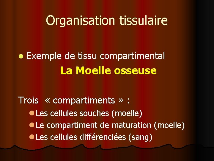 Organisation tissulaire l Exemple de tissu compartimental La Moelle osseuse Trois « compartiments »