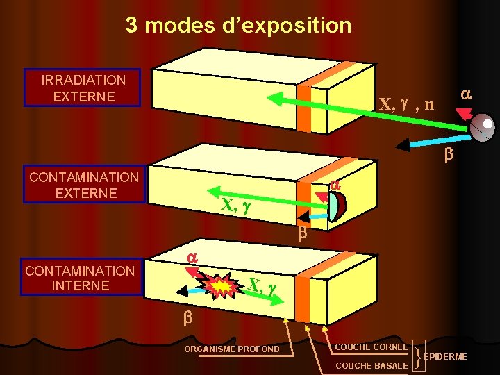 3 modes d’exposition IRRADIATION EXTERNE a X, g , n b CONTAMINATION EXTERNE a