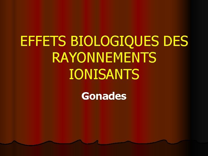 EFFETS BIOLOGIQUES DES RAYONNEMENTS IONISANTS Gonades 