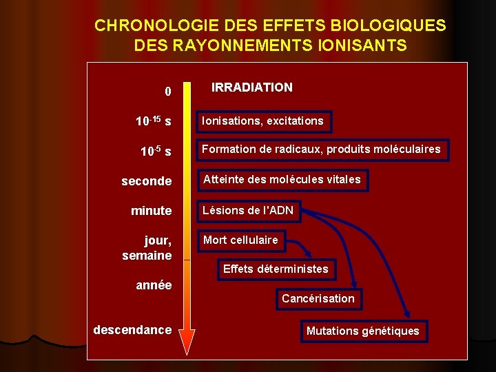 CHRONOLOGIE DES EFFETS BIOLOGIQUES DES RAYONNEMENTS IONISANTS 0 10 -15 s 10 -5 s