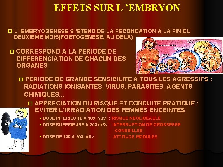 EFFETS SUR L ’EMBRYON o L ’EMBRYOGENESE S ’ETEND DE LA FECONDATION A LA