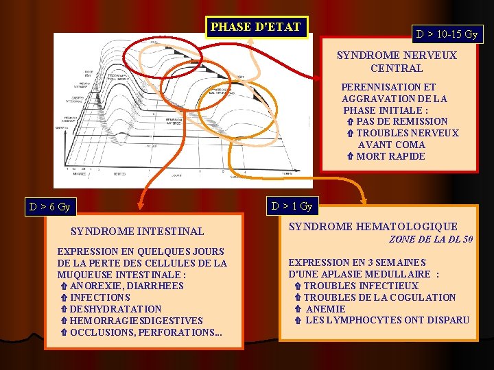 PHASE D'ETAT D > 10 -15 Gy SYNDROME NERVEUX CENTRAL PERENNISATION ET AGGRAVATION DE