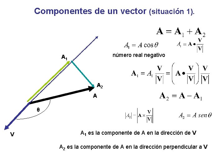 Componentes de un vector (situación 1). número real negativo A 1 A 2 A