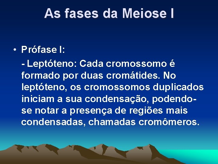 As fases da Meiose I • Prófase I: - Leptóteno: Cada cromossomo é formado