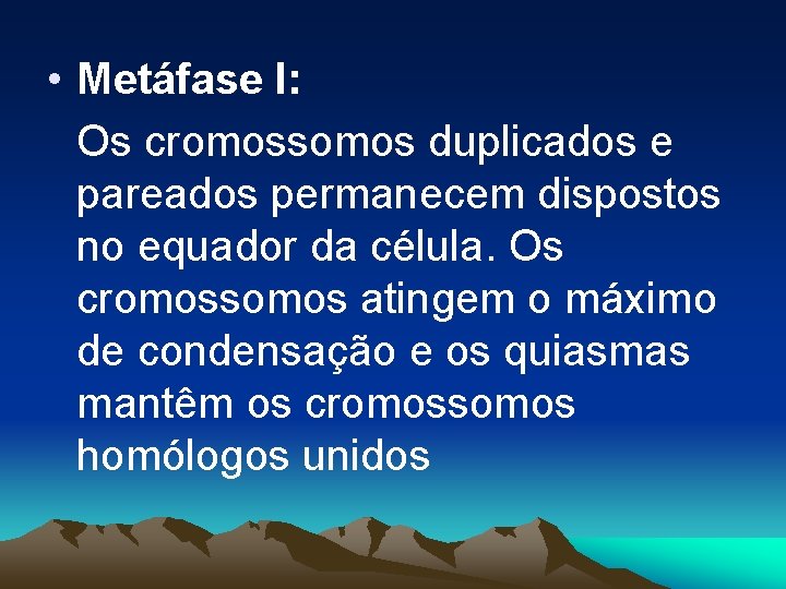  • Metáfase I: Os cromossomos duplicados e pareados permanecem dispostos no equador da