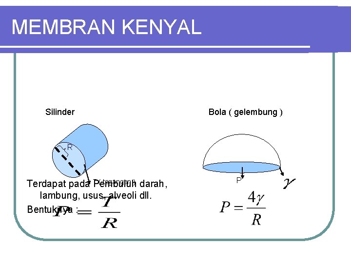 MEMBRAN KENYAL Silinder Bola ( gelembung ) R ( tegangan ) darah, Terdapat pada