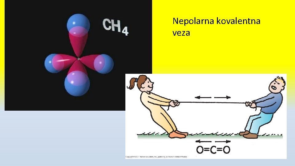 Nepolarna kovalentna veza 