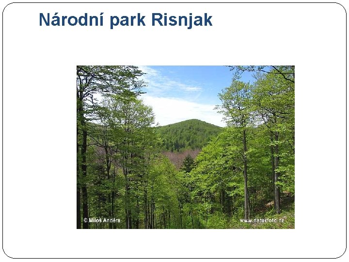 Národní park Risnjak 
