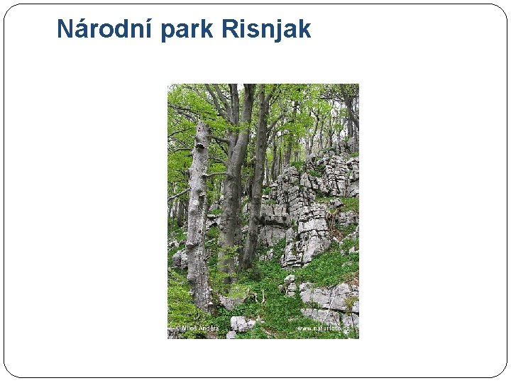 Národní park Risnjak 