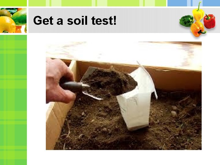 Get a soil test! Get a soil test!