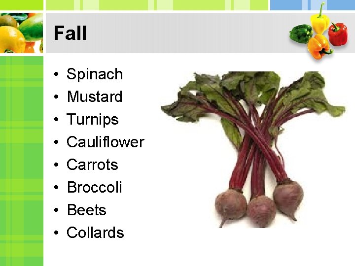 Fall • • Spinach Mustard Turnips Cauliflower Carrots Broccoli Beets Collards 