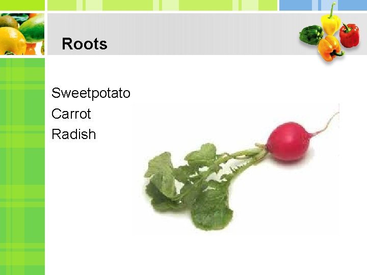 Roots Sweetpotato Carrot Radish 